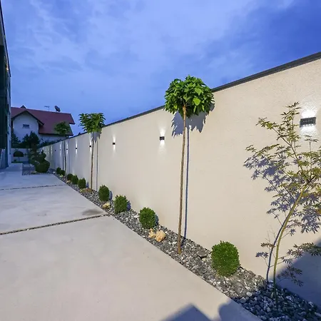 Cocosinella Διαμέρισμα