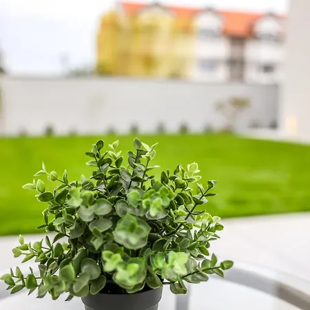 Cocosinella Lägenhet